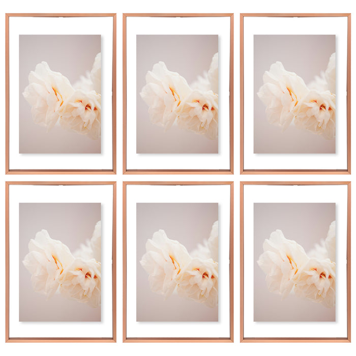 Clearance 12x18 Aluminum Floating Frame Rose Gold (6 Pcs Per Box)