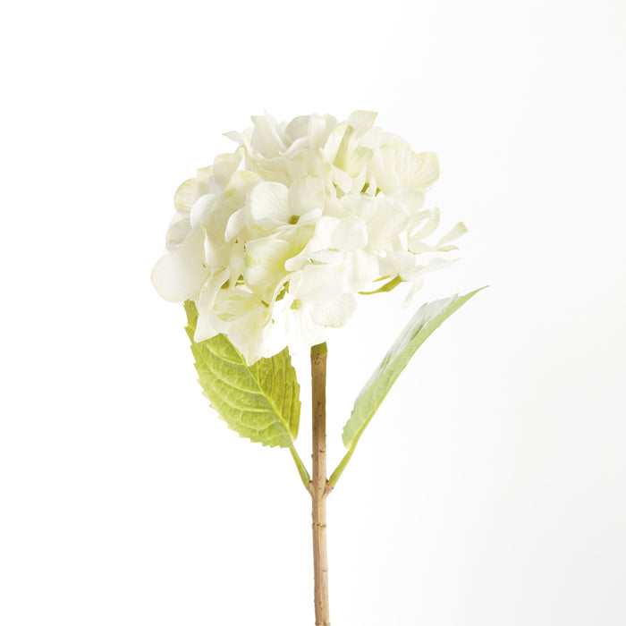 Hydrangea Stems 18"