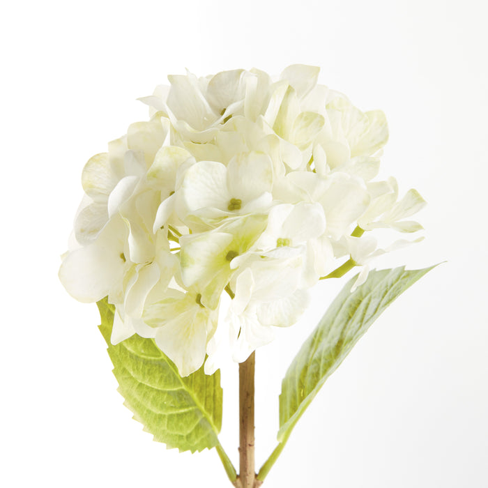 Hydrangea Stems 18"
