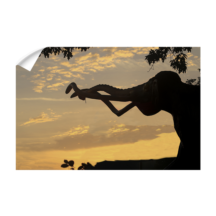 Nebraska Cornhuskers - Archie Sunrise - College Wall Art #Wall Decal