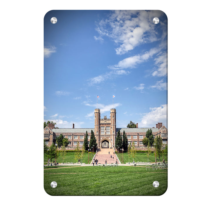 Washington Bears - ALDV - College Wall Art #Metal