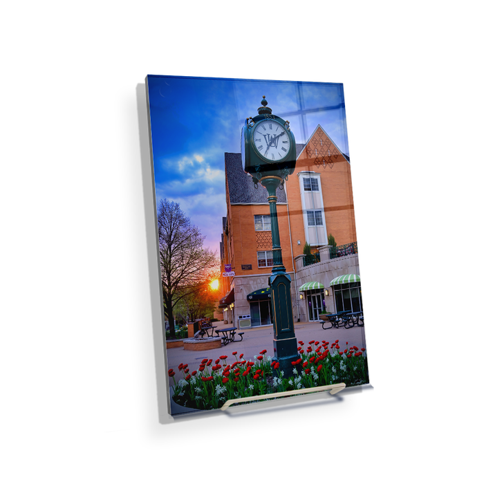 Washington University Bears - Clock Tower Lowers - College Wall Art #Acrylic Mini