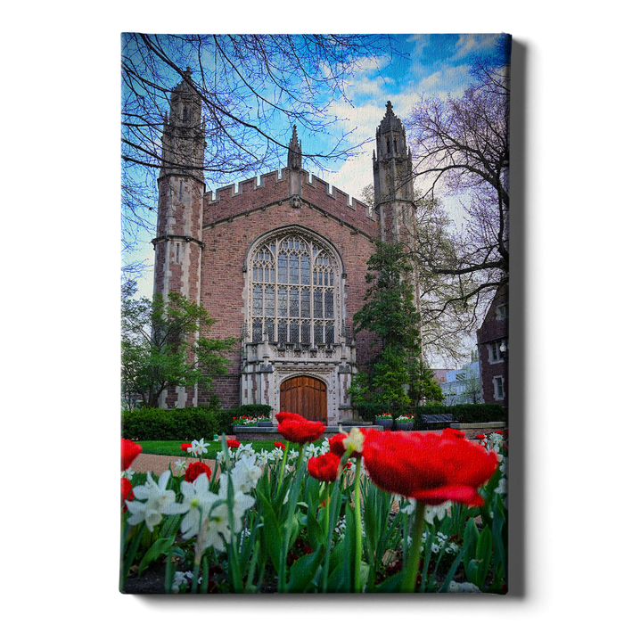 Washington University Bears - Tulips - College Wall Art #Canvas