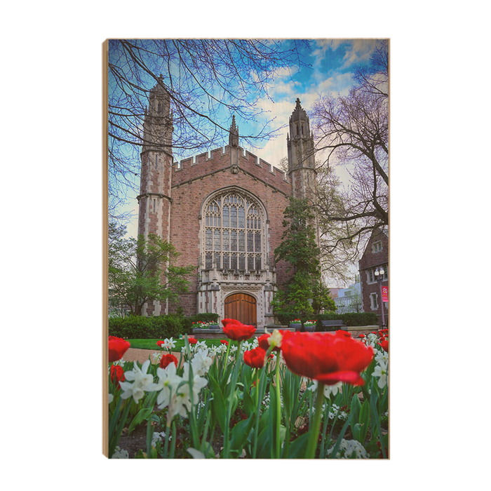 Washington University Bears - Tulips - College Wall Art #Wood