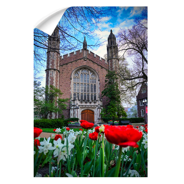 Washington University Bears - Tulips - College Wall Art #Wall Decal