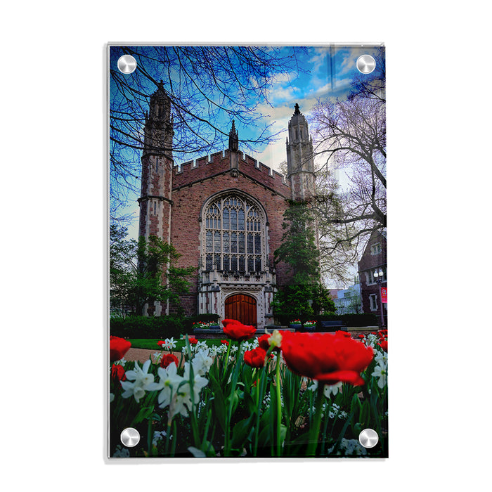 Washington University Bears - Tulips - College Wall Art #Acrylic
