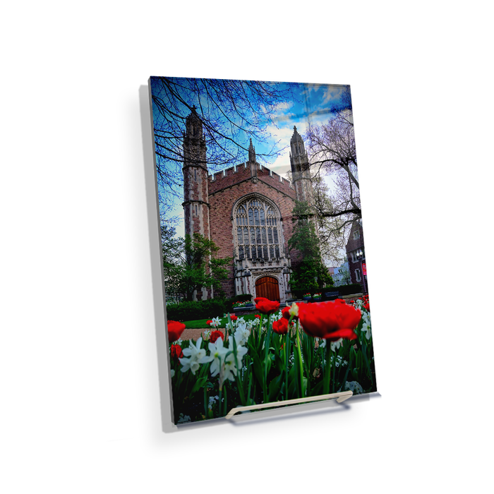 Washington University Bears - Tulips - College Wall Art #Acrylic Mini