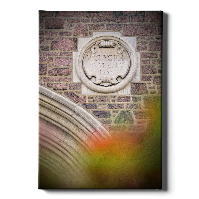 Washington University Bears - Washington University 1857 - College Wall Art #Canvas