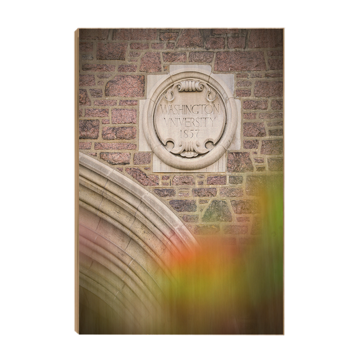 Washington University Bears - Washington University 1857 - College Wall Art #Wood