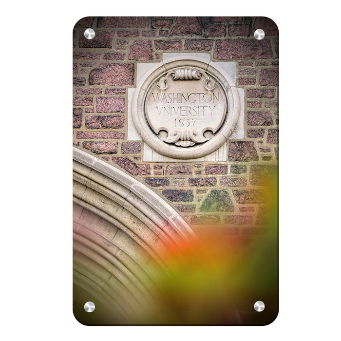 Washington University Bears - Washington University 1857 - College Wall Art #Metal