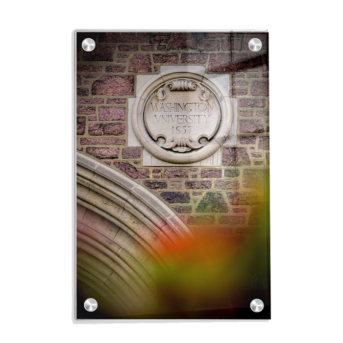Washington University Bears - Washington University 1857 - College Wall Art #Acrylic