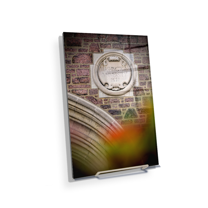 Washington University Bears - Washington University 1857 - College Wall Art #Acrylic Mini